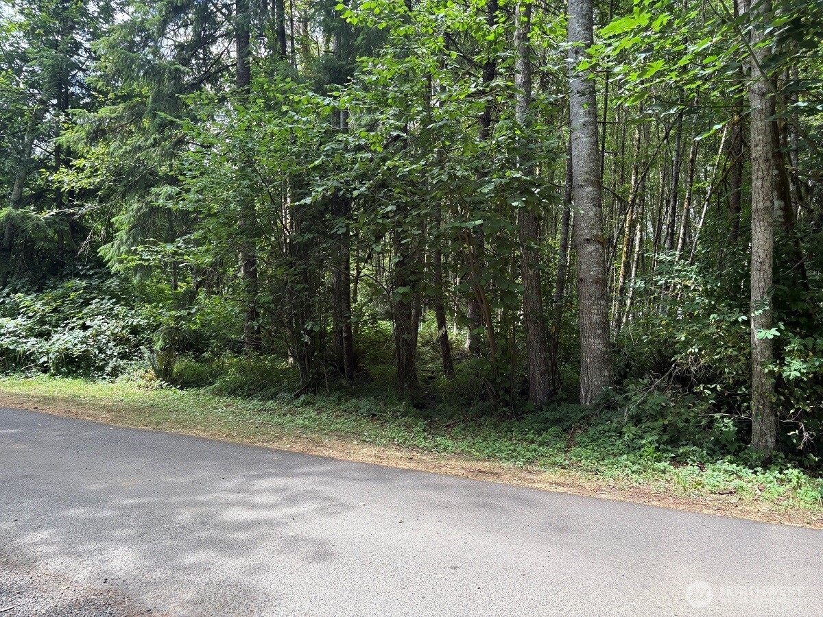 0 Harmony Road Silver Creek, WA 98585 - Photo 1 of 3 Gallery Image 1