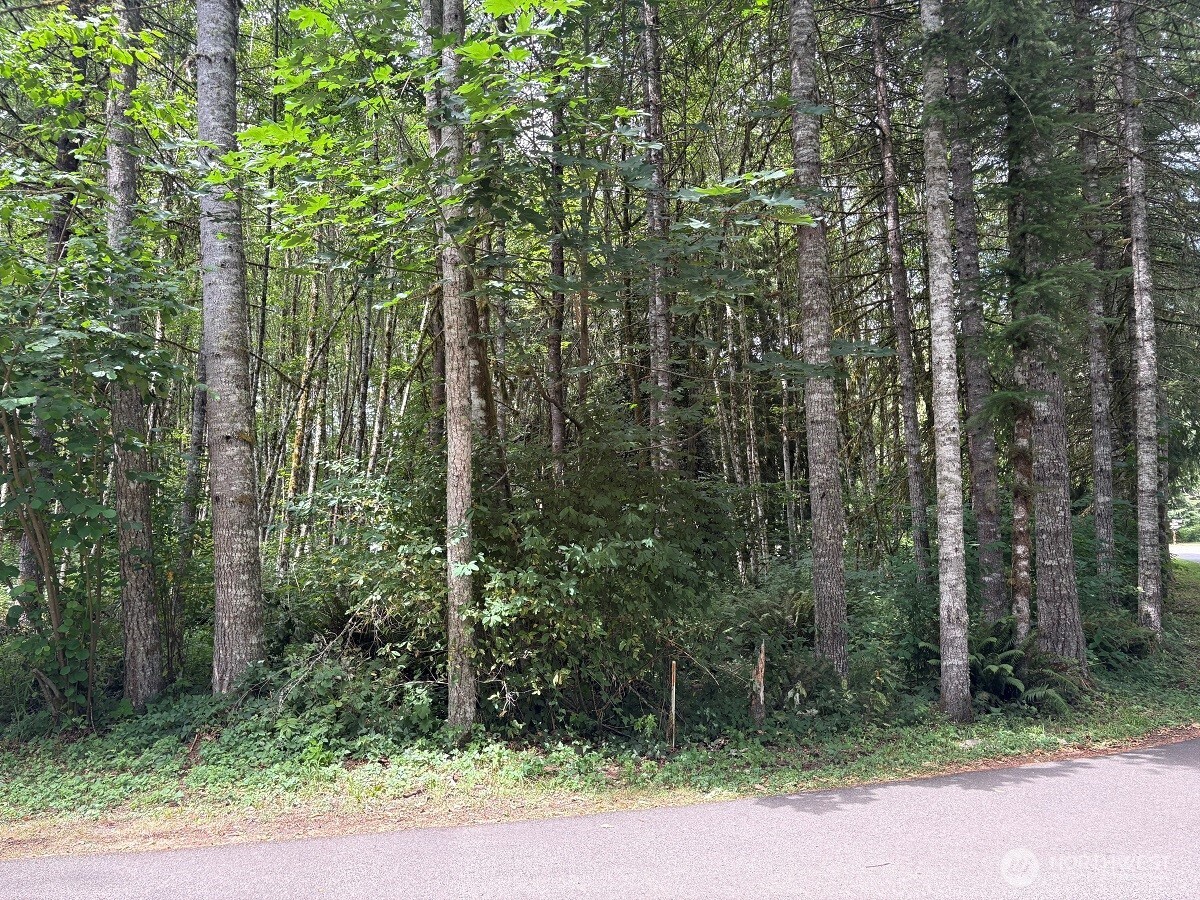 0 Harmony Road Silver Creek, WA 98585 - Photo 3 of 3 Gallery Image 3