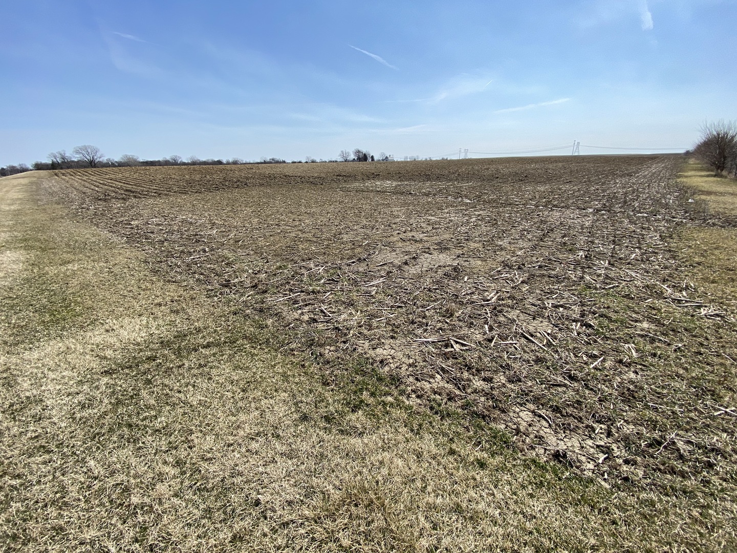 0 West Corning Road Beecher, IL 60401 - Photo 4 of 16
