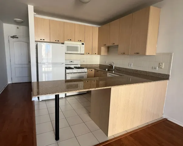 $3,000 | 635 North Dearborn Street, Unit 2003, Chicago, IL 60654