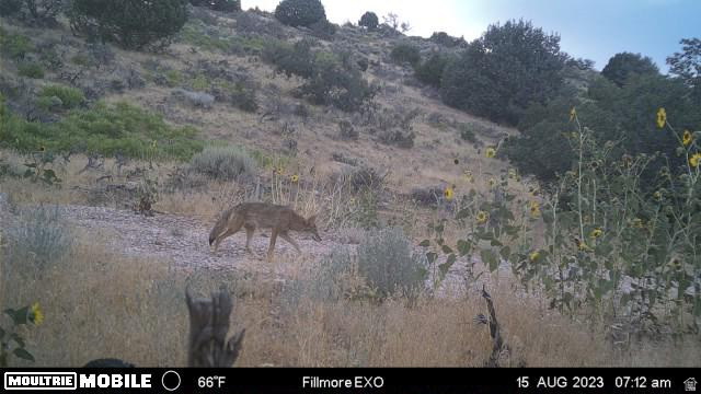 1100 South Deer Pasture Road Fillmore, UT 84631 - Photo 22 of 25 View of nature