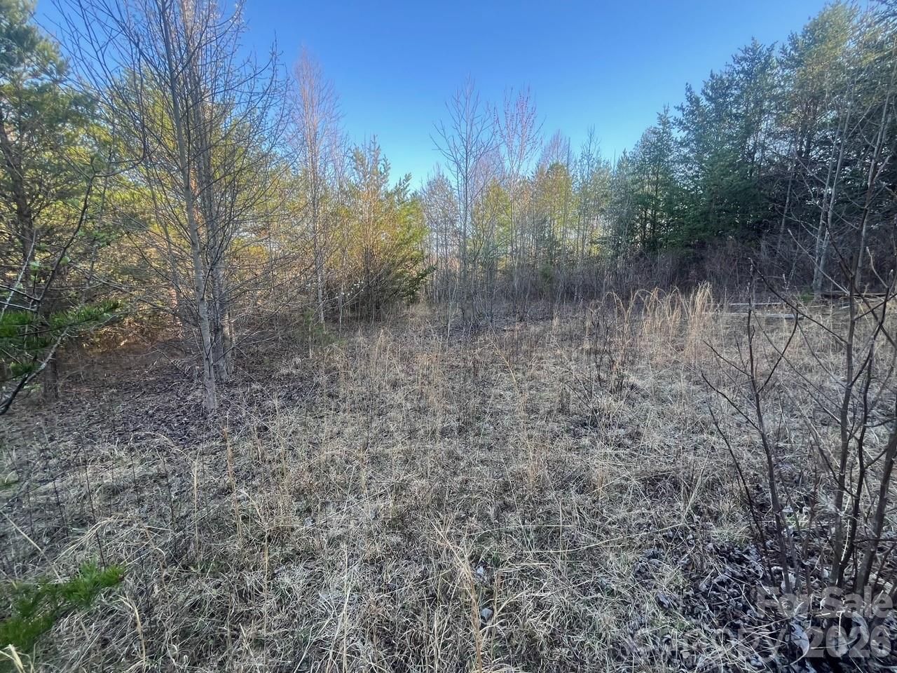 Tbd Southern Way Nebo, NC 28761 - Photo 13 of 22