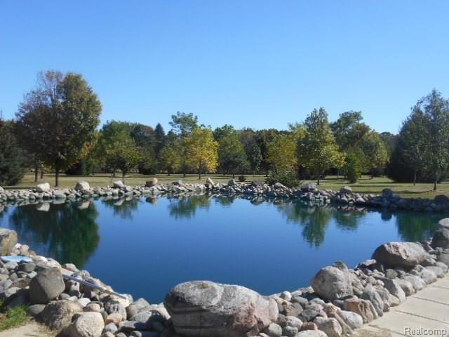 1353 North Maple Leaf Road Lapeer, MI 48446 - Photo 2 of 44 Pond.jpg