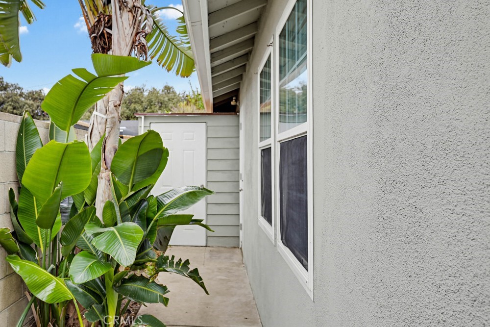 1104 Williamson Avenue Fullerton, CA 92833 - Photo 17 of 19 a close up of a plant with a plant