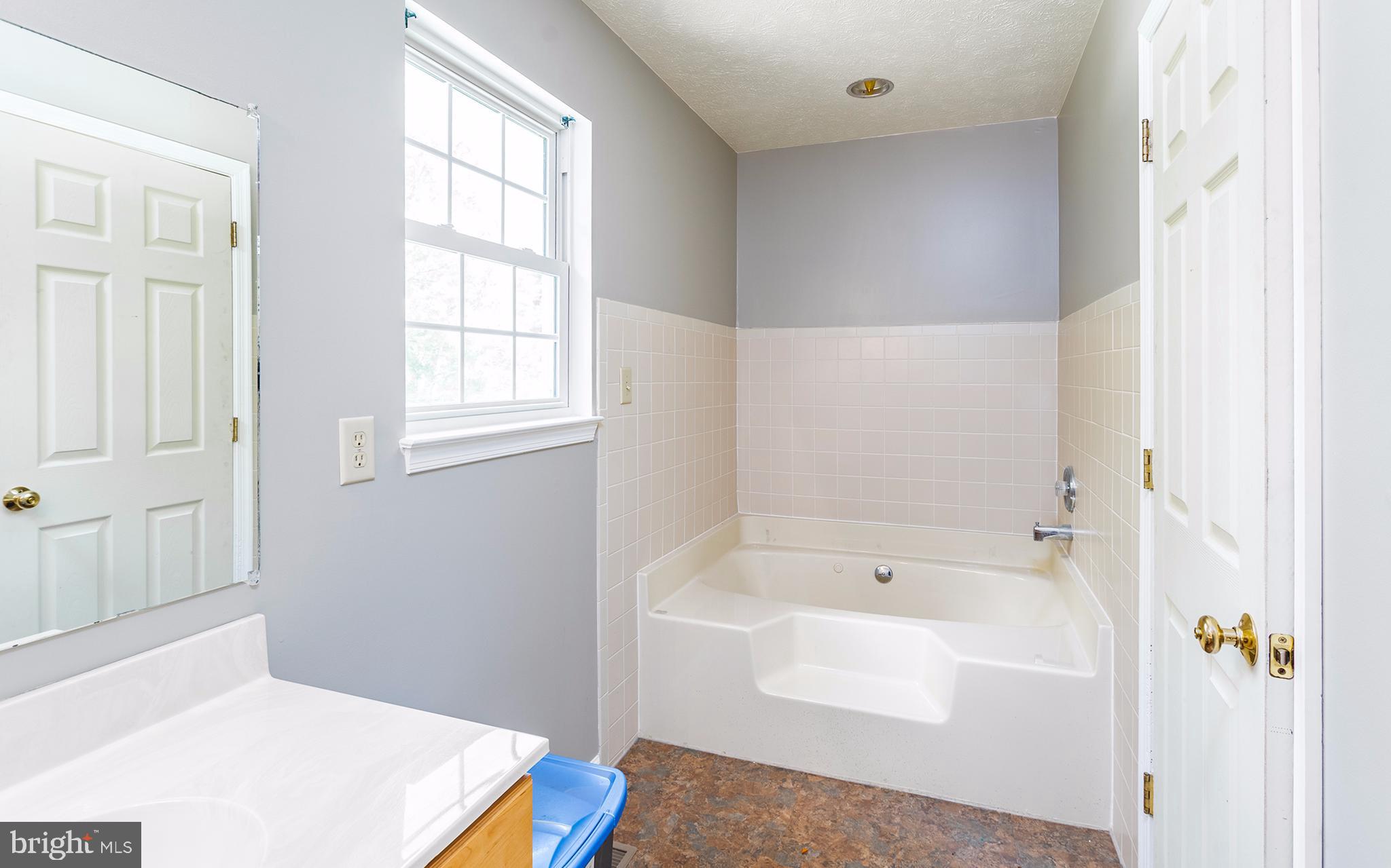 158 Ranger Court Front Royal, VA 22630 - Photo 14 of 30 Master bath with jetted tub