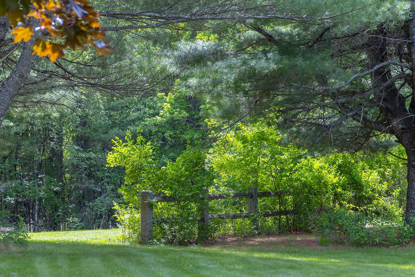 860 Briar Hill Road Hopkinton, NH 03229 - Photo 10 of 47