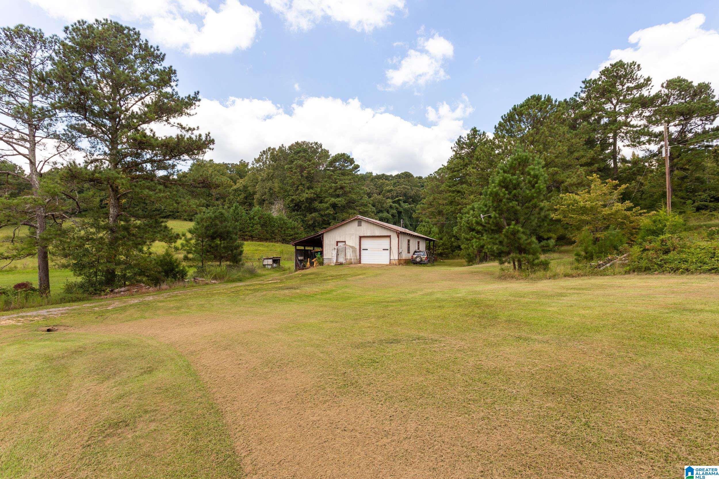 551 Burtram Road Springville, AL 35146 - Photo 2 of 22