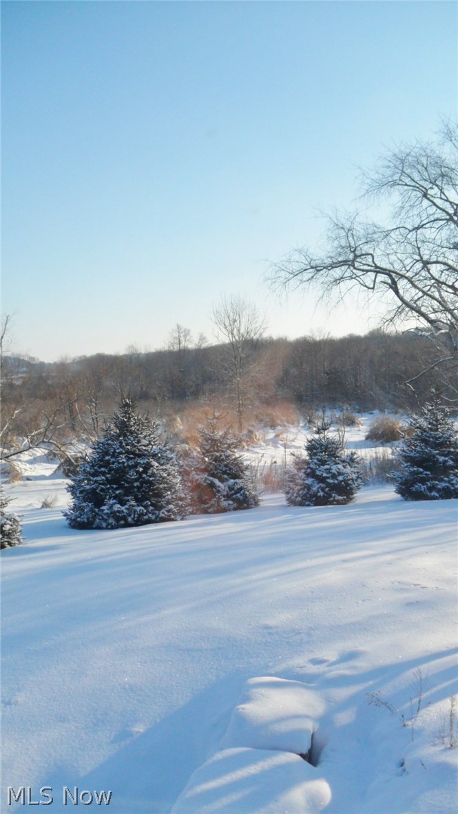 8992 Rochester Road East Rochester, OH 44625 - Photo 10 of 22 From Bedroom Window!