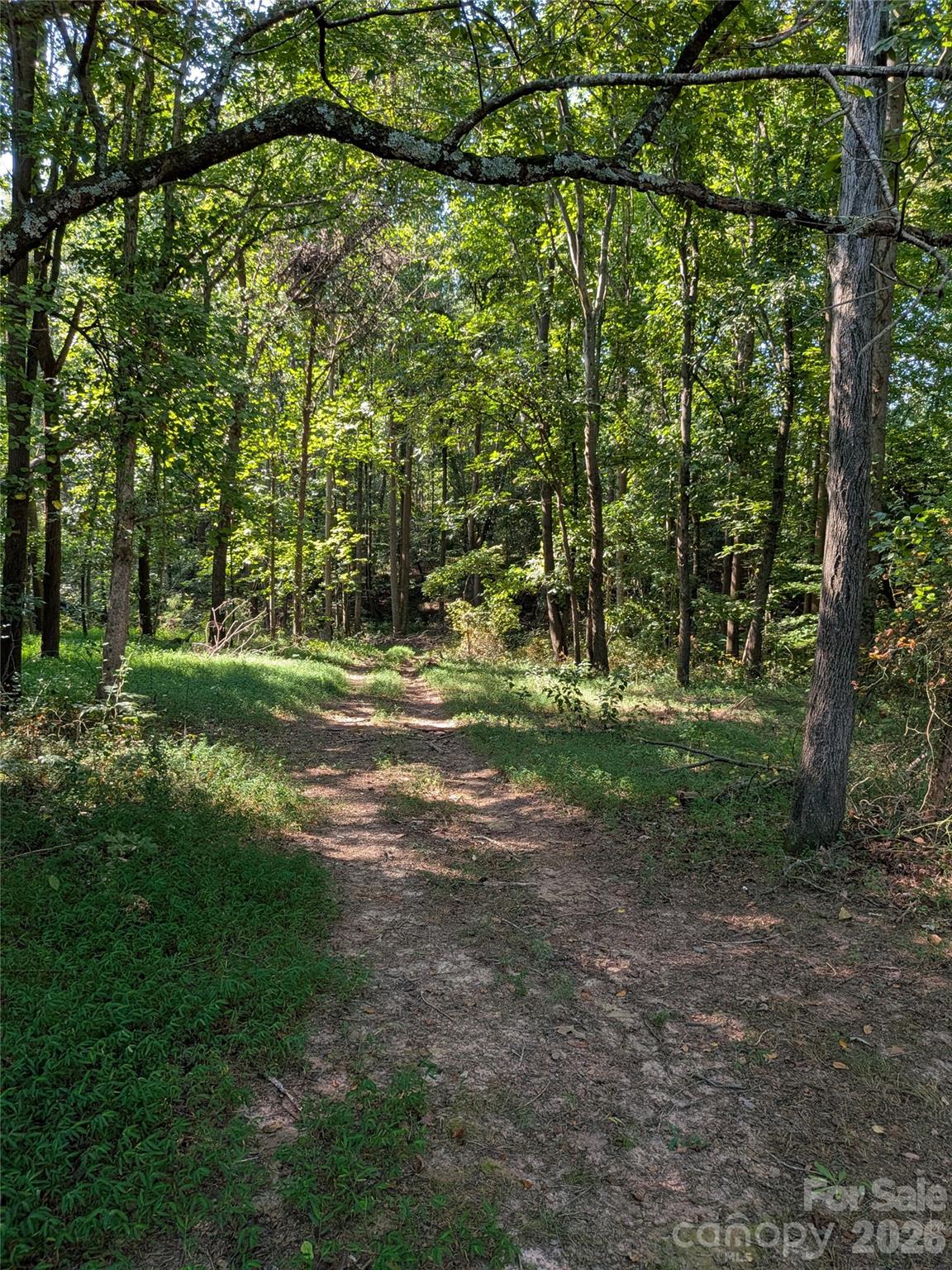 16-acres Dan Rhyne Road Vale, NC 28168 - Photo 12 of 33 Gallery Image 12