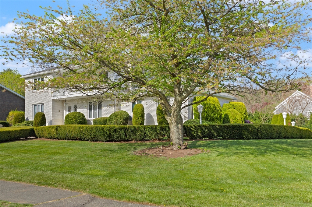 34 Coolidge Road Winchester, MA 01890 - Photo 3 of 33 a front view of a house with a yard