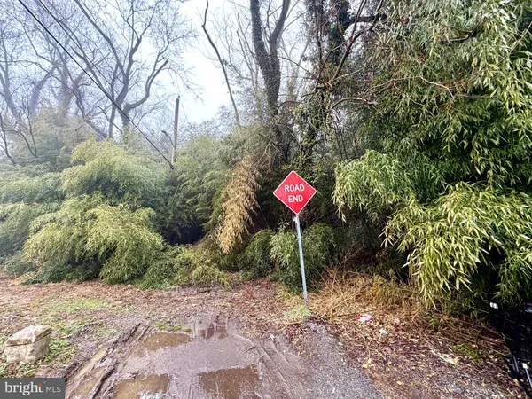 a view of a street with a tree