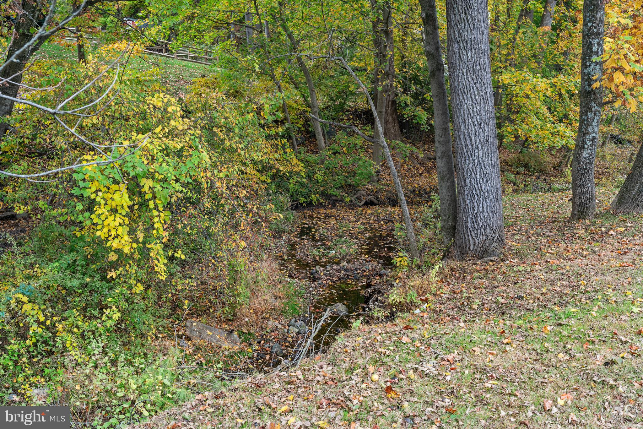 146 Poplar Road Newtown Square, PA 19073 - Photo 34 of 34 Creek on the Property
