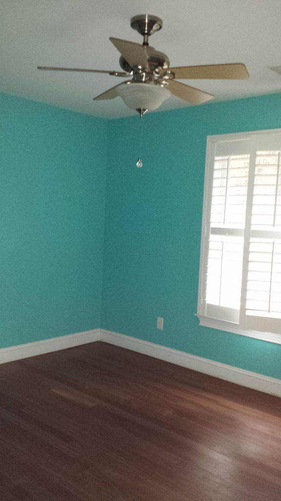 7224 Commodore Road Hollywood, SC 29449 - Photo 9 of 10 Master bedroom
