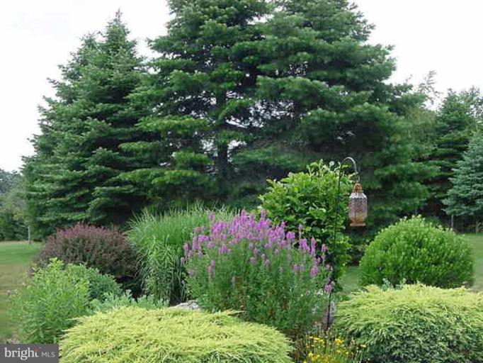 1133 Ragged Edge Road Chambersburg, PA 17202 - Photo 6 of 30 a view of a garden with plants