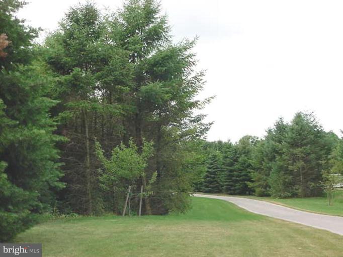 1133 Ragged Edge Road Chambersburg, PA 17202 - Photo 7 of 30 a view of a field with a tree