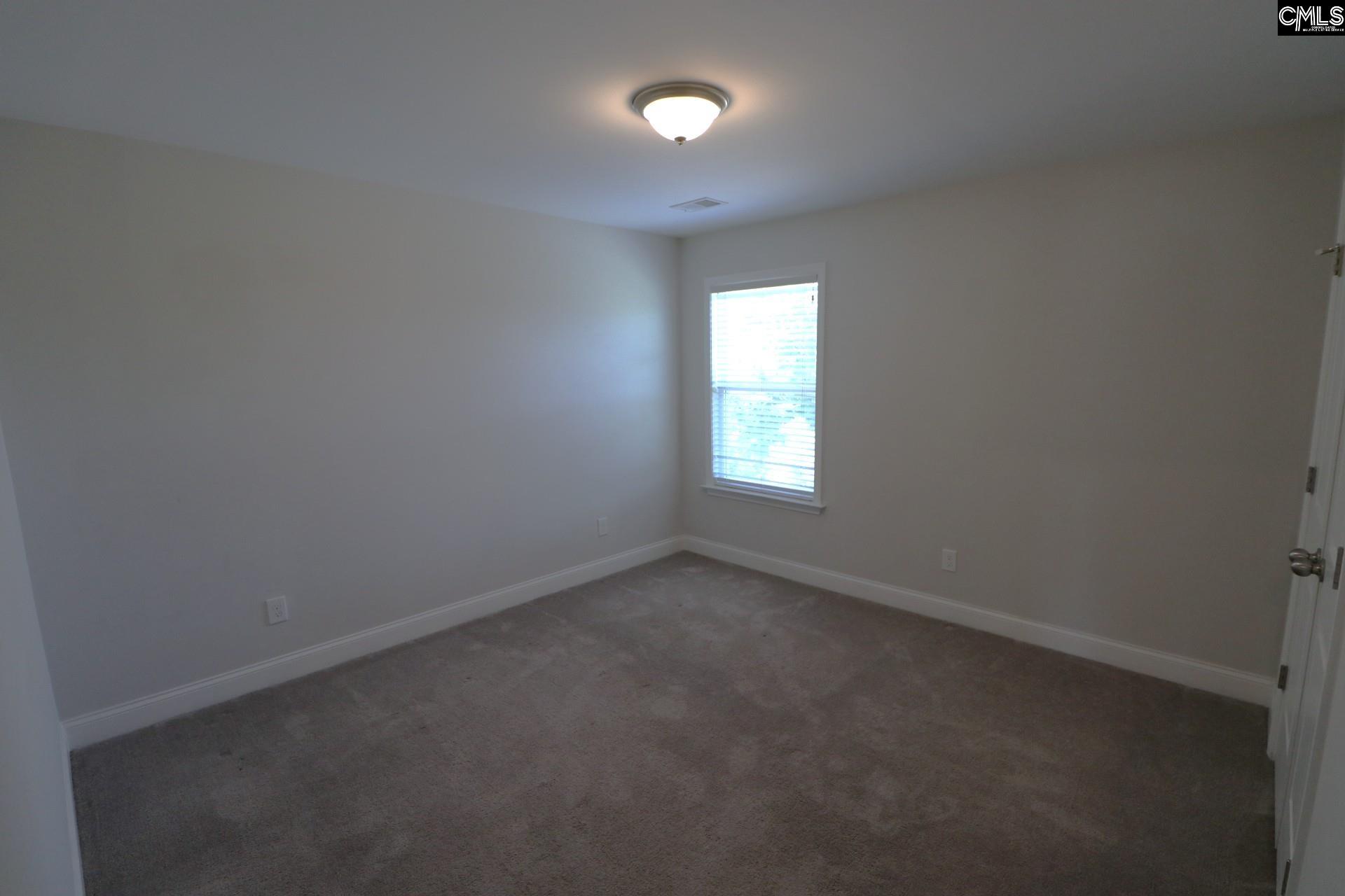 432 Thayer Street Chapin, SC 29036 - Photo 41 of 68