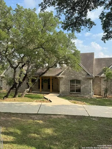 a park with large trees