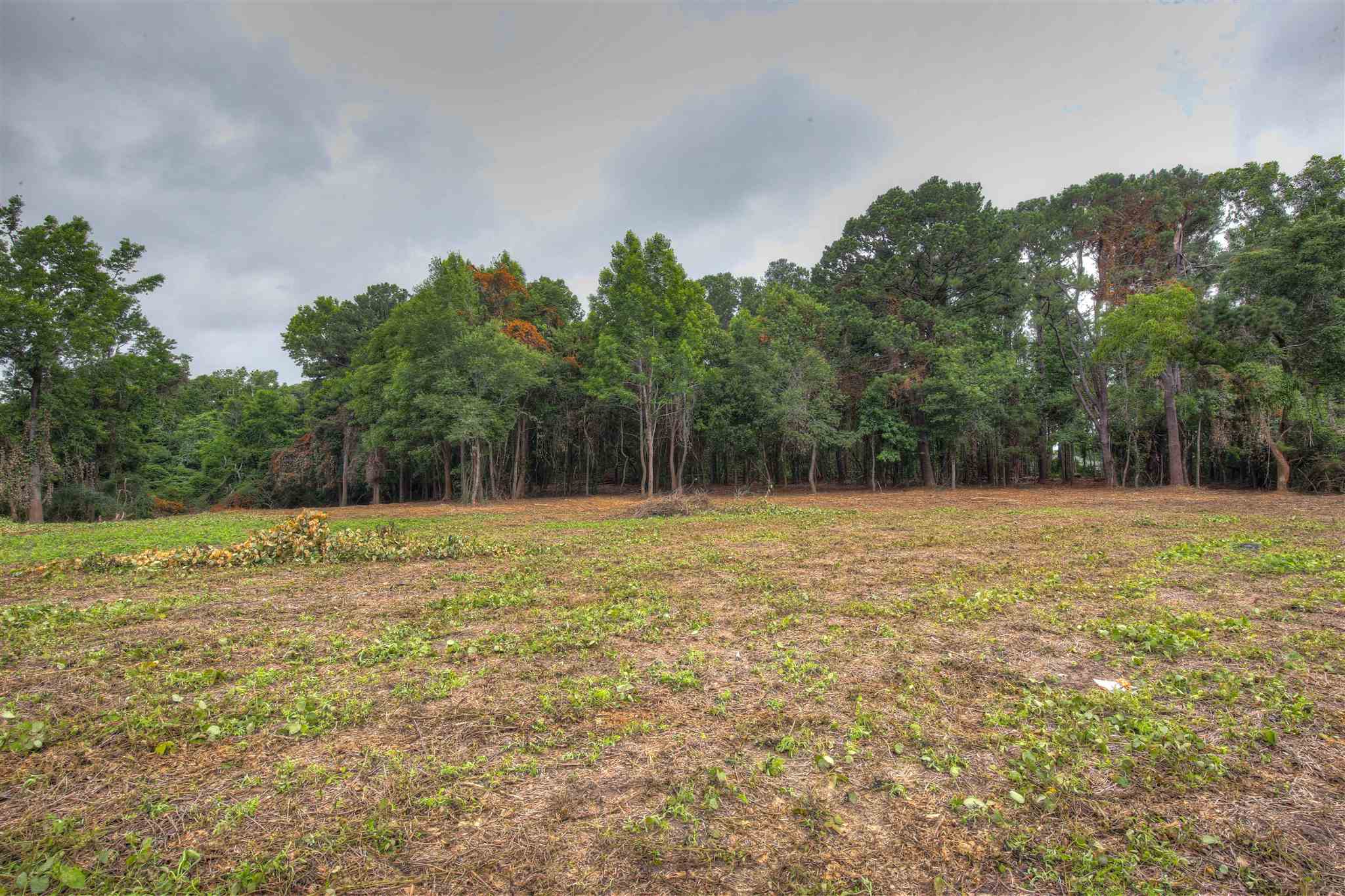 64 County Road Daphne, AL 36526 - Photo 3 of 4