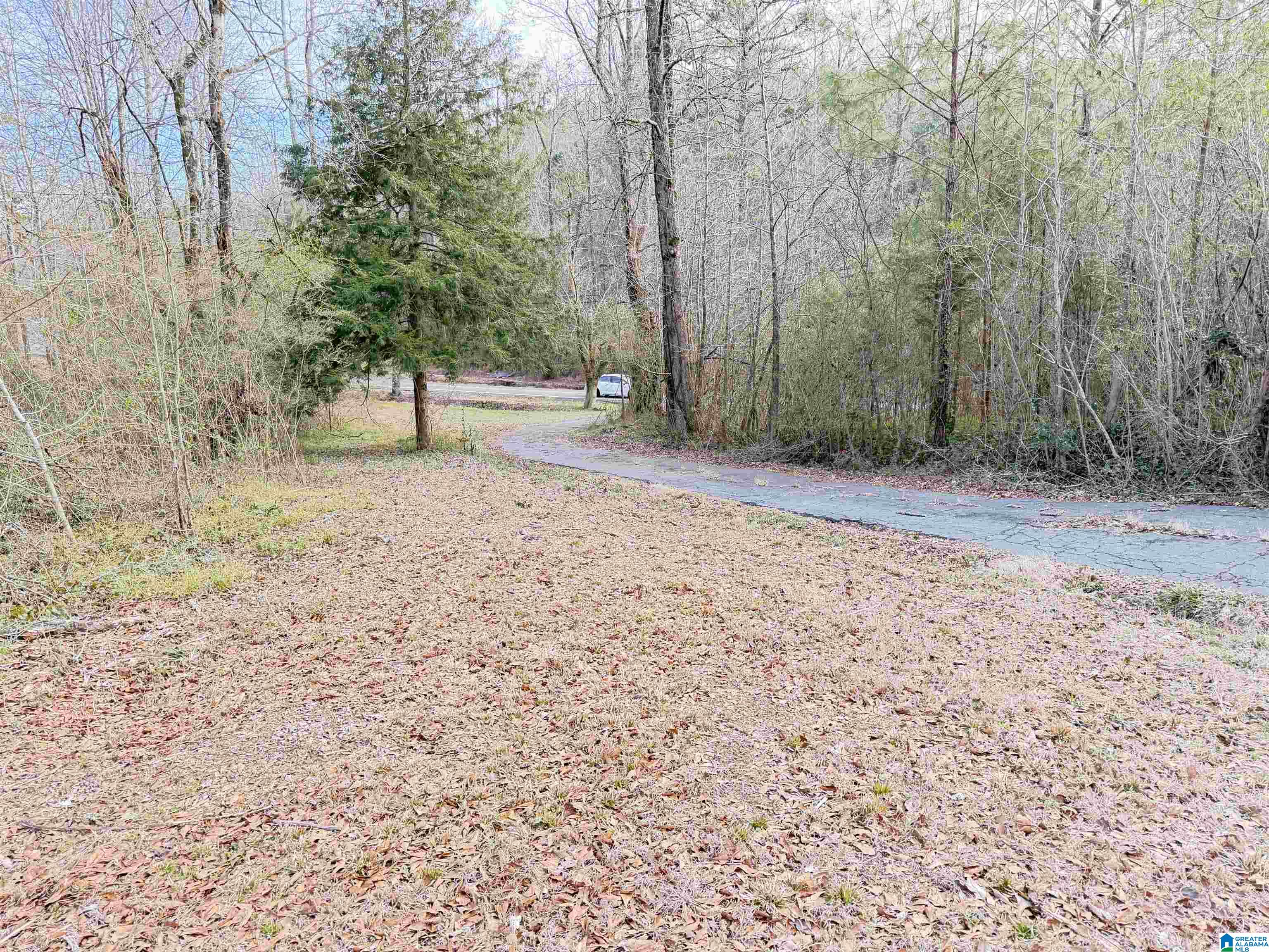 5134 Dug Hollow Road Pinson, AL 35126 - Photo 3 of 17