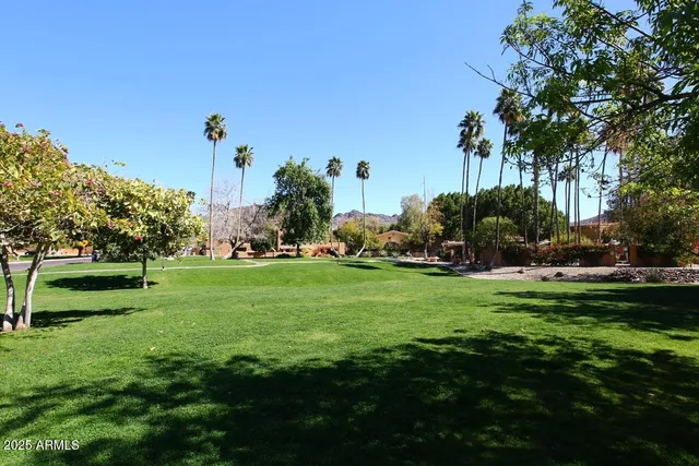 a view of a park and trees