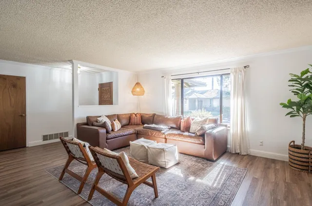 a living room with furniture and a potted plant