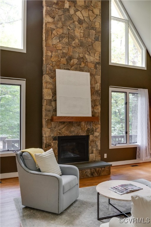 12293 Stancroft Road Rockville, VA 23146 - Photo 19 of 49 Living room with a fireplace, high vaulted ceiling