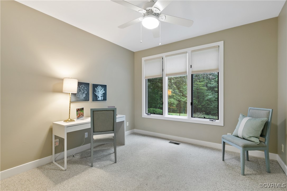 12293 Stancroft Road Rockville, VA 23146 - Photo 29 of 49 Bedroom or office space with ceiling fan and light