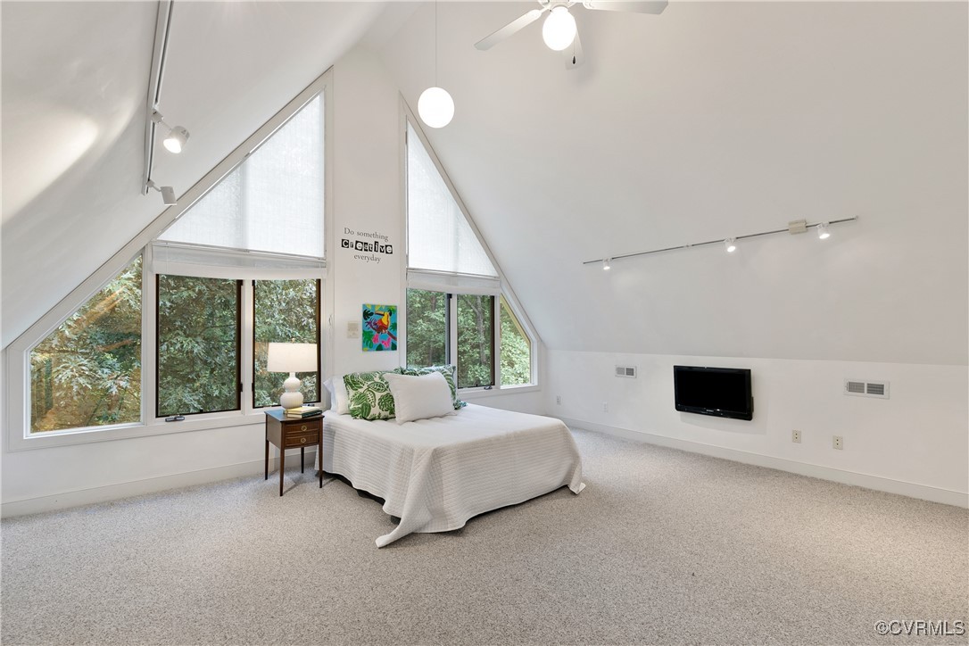 12293 Stancroft Road Rockville, VA 23146 - Photo 31 of 49 Bedroom with ceiling fan, carpet floors, and lofte