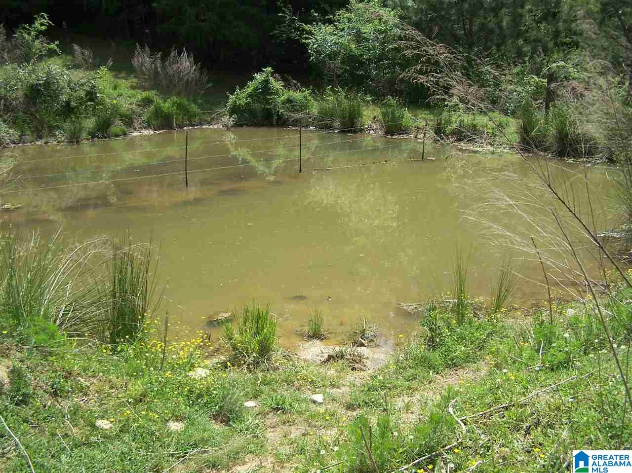 2270 Elvester Road Warrior, AL 35180 - Photo 17 of 31
