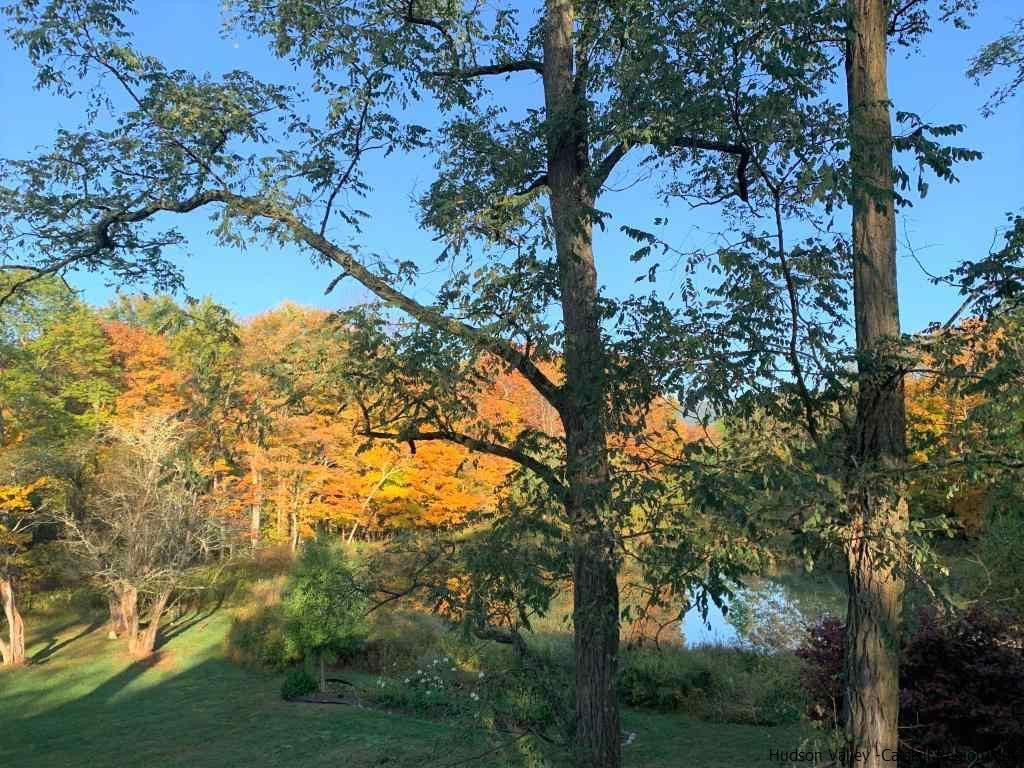 285 Awosting Road Pine Bush, NY 12566 - Photo 33 of 33 Photo 33