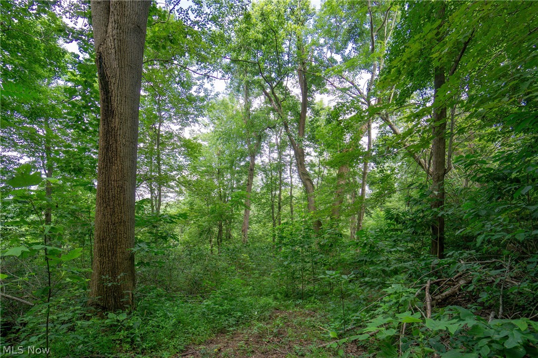 44892 Crothers Road Clarington, OH 43915 - Photo 25 of 34 Gallery Image 25