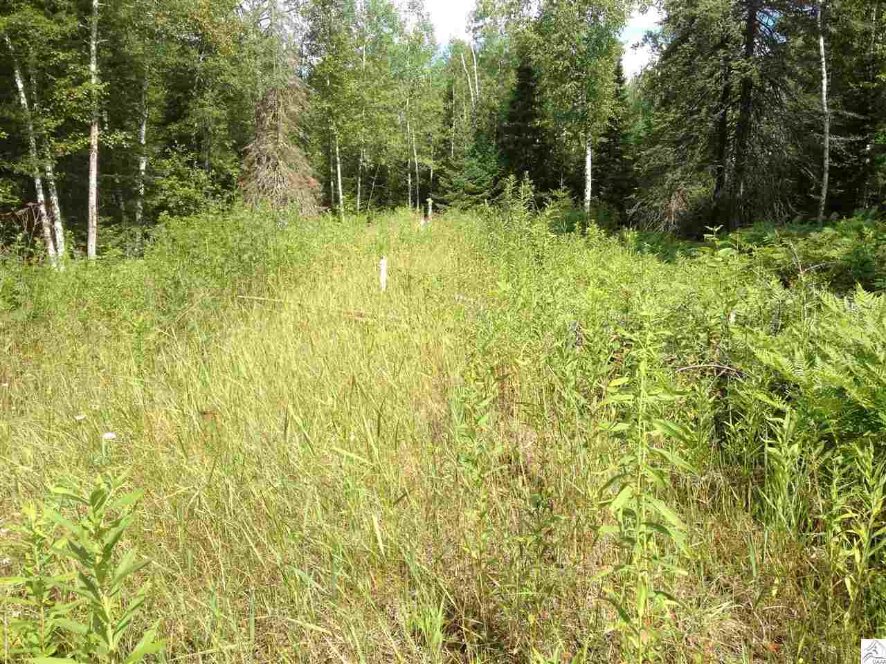 4459 West Tischer Road Duluth, MN 55803 - Photo 9 of 10 sewer mound