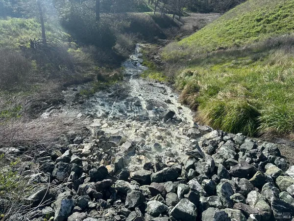 a view of a yard with a plants