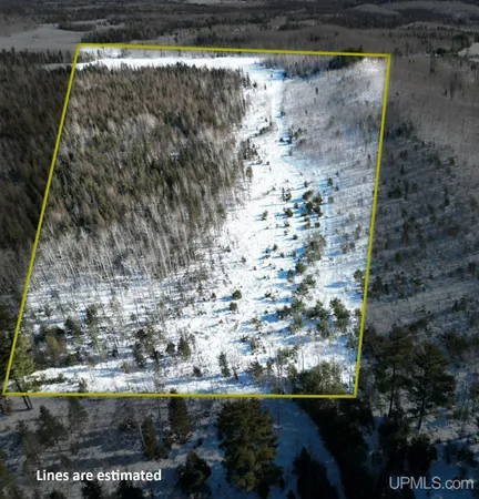 $47,500 | Tbd Murray 20 Road, Perronville, MI 49873