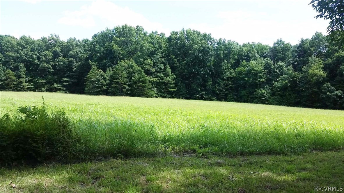 22 Fire Trail Road New Canton, VA 23123 - Photo 2 of 12 Gallery Image 2