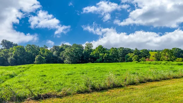 $35,000 | Lot #14 Evanwood Drive, Owenton, KY 40359