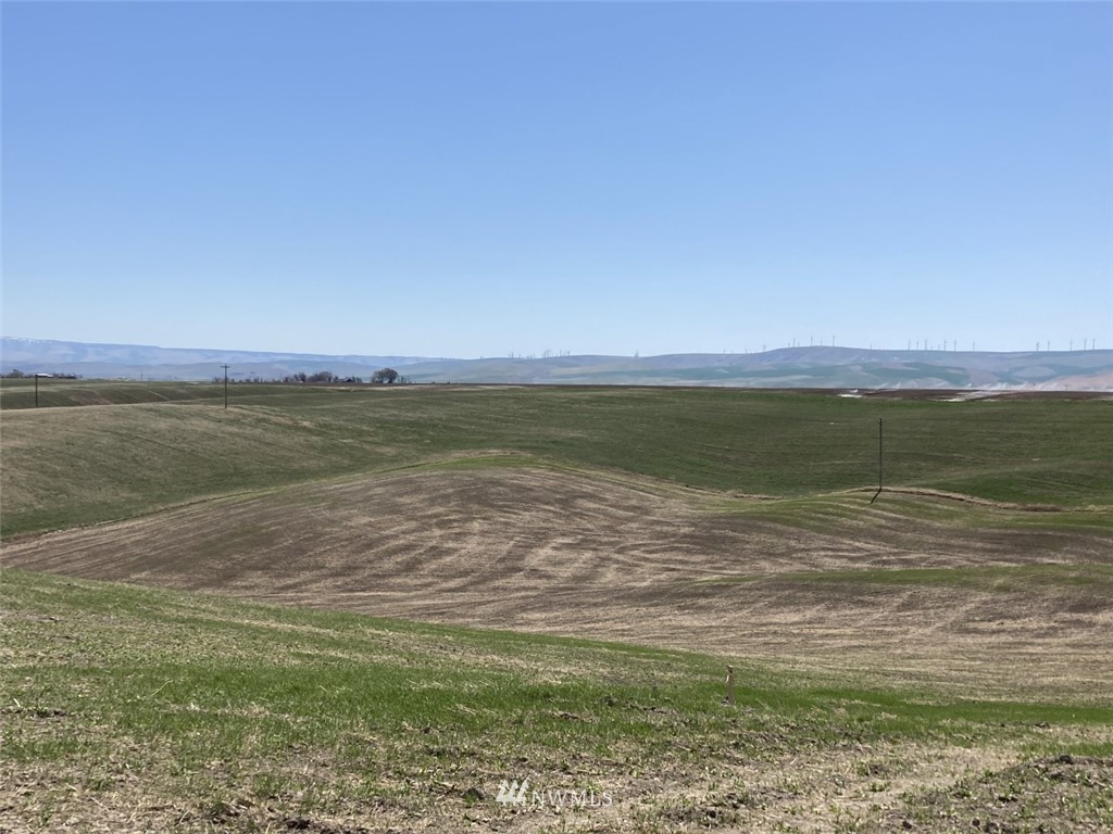 3 Sand Pit Road Touchet, WA 99360 - Photo 12 of 16 a view of an ocean