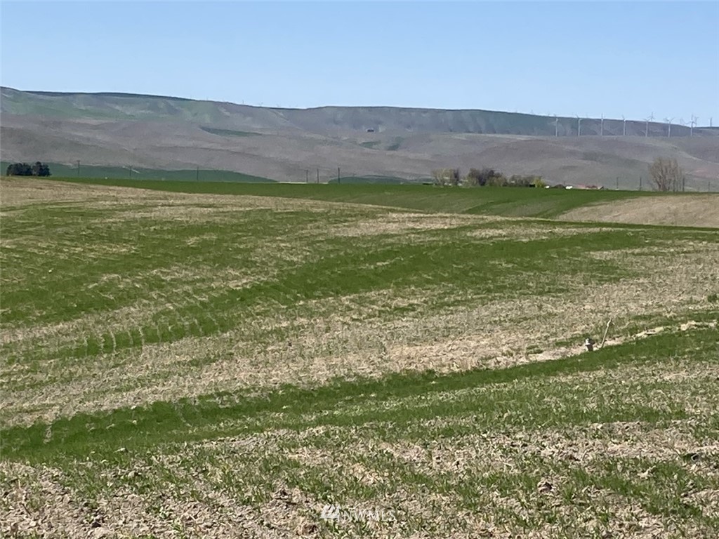 3 Sand Pit Road Touchet, WA 99360 - Photo 15 of 16 a view of a field with an ocean