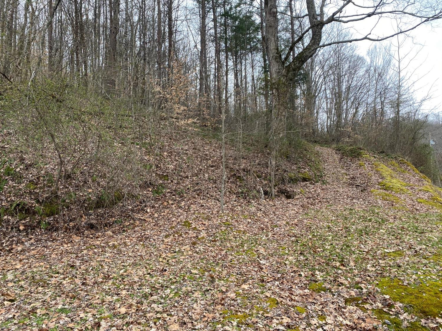 145 Copper Ridge Drive Heidrick, KY 40949 - Photo 24 of 28 Photo 24