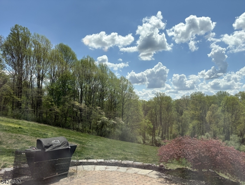 19 Allerton Road Lebanon, NJ 08833 - Photo 30 of 40