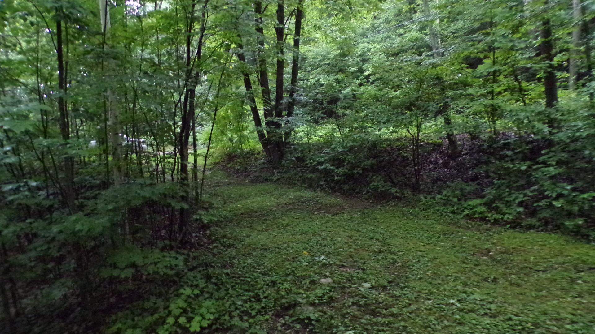 361 Sweet Road Pownal, VT 05261 - Photo 12 of 36