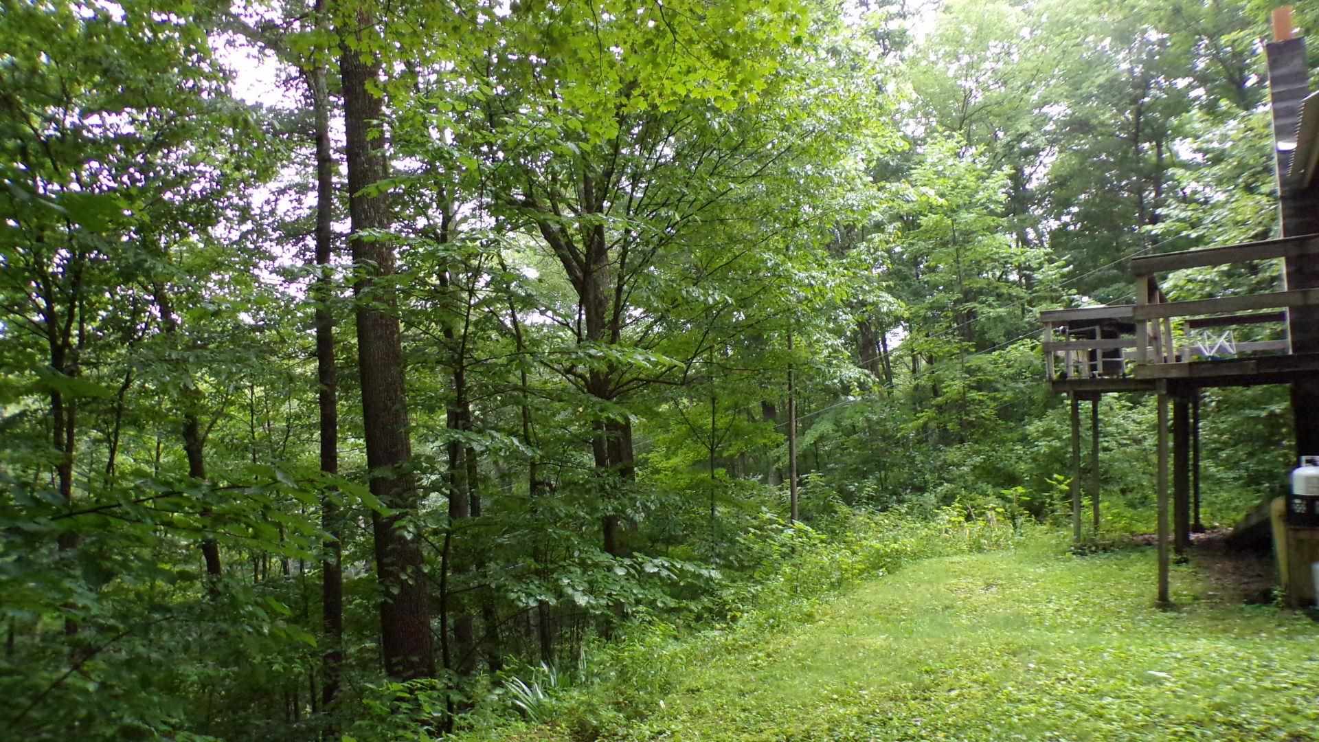 361 Sweet Road Pownal, VT 05261 - Photo 6 of 36