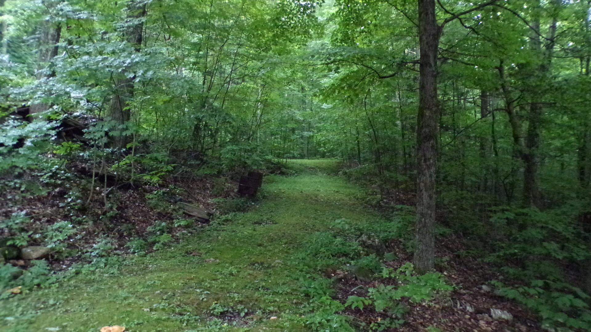 361 Sweet Road Pownal, VT 05261 - Photo 7 of 36