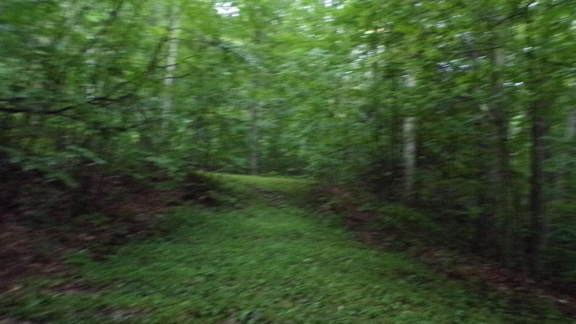 361 Sweet Road Pownal, VT 05261 - Photo 9 of 36