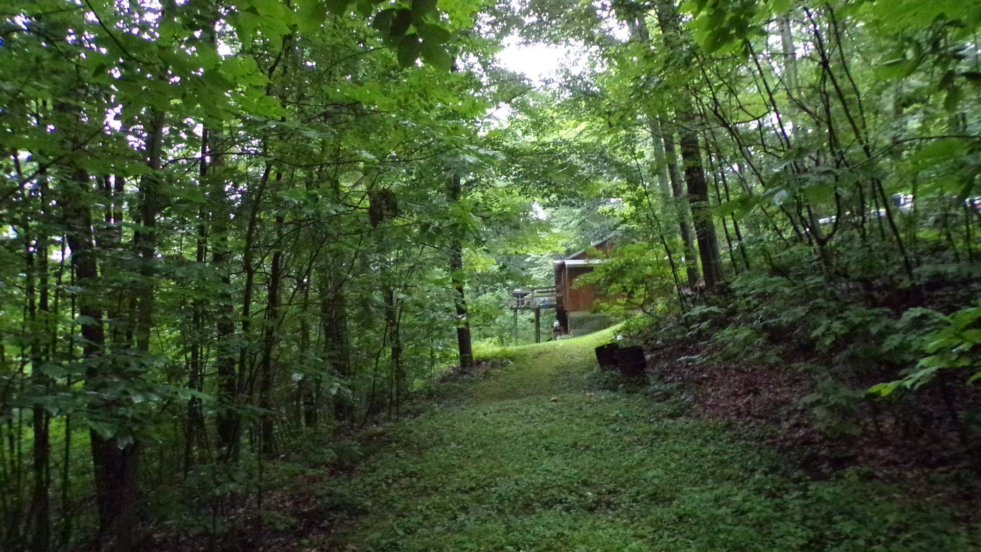361 Sweet Road Pownal, VT 05261 - Photo 10 of 36