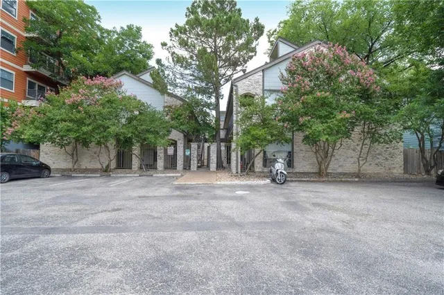 a view of a trees and tree