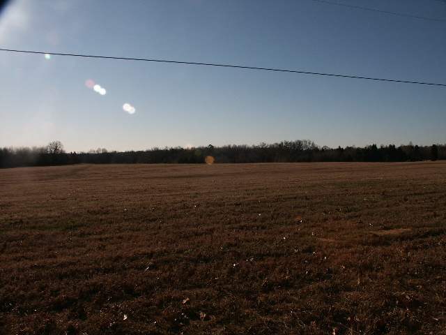 698 Griffin Farm Road, Unit TRACT C Honea Path, SC 29654 - Photo 3 of 4