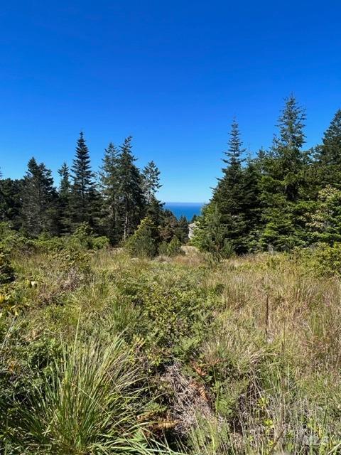 36018 Sea Ridge Road The Sea Ranch, CA 95497 - Photo 11 of 17
