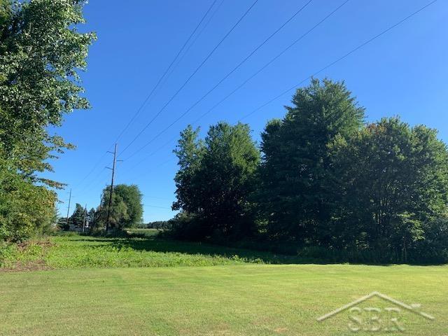10827 South Gera Road Birch Run, MI 48415 - Photo 8 of 8 50084663-7.JPG