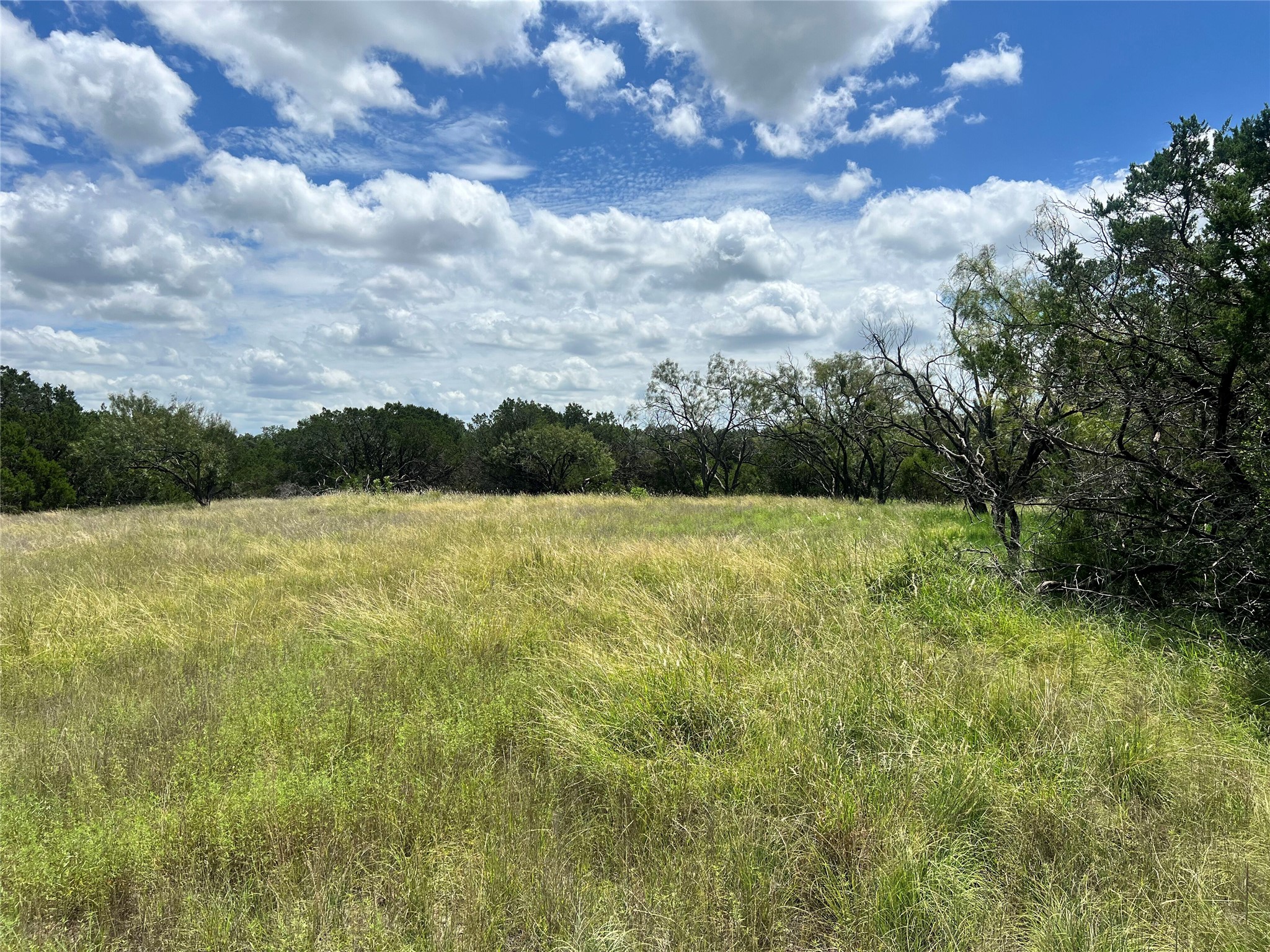 2452 Stone Creek Ranch Drive Evant, TX 76525 - Photo 6 of 19 View of local wilderness with rural landscape